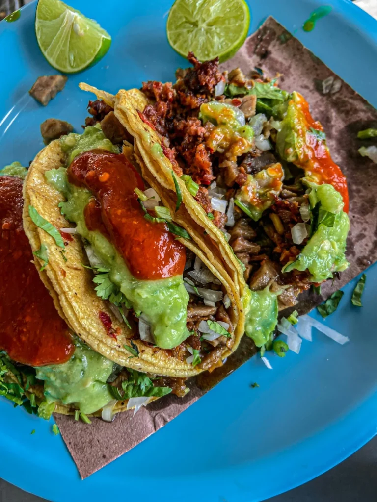 Gran variedad de platillos mexicanos preparados